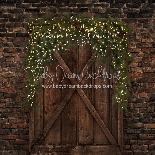 Chicago Country Door (Lights)