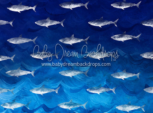 Chomp - 60Hx80W - CC  