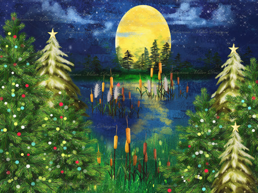 Christmas Bayou 