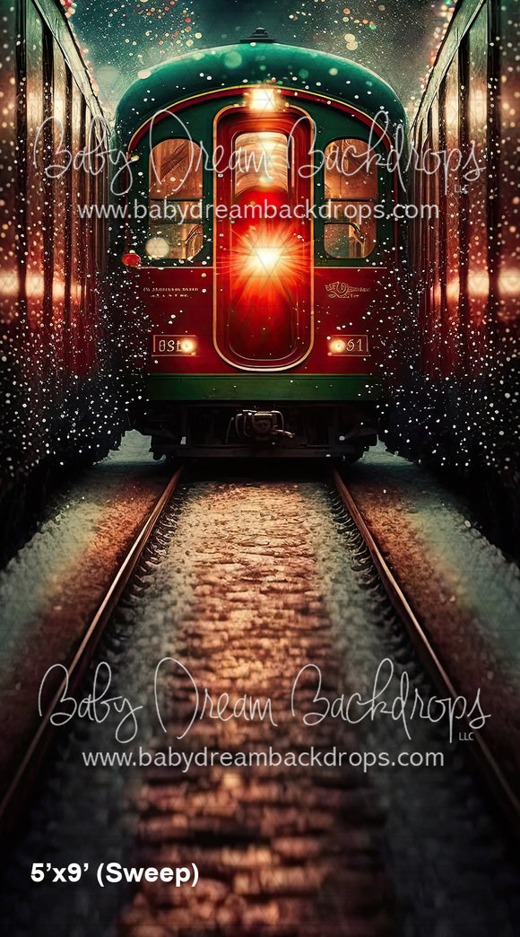 Christmas Express Train (SM)