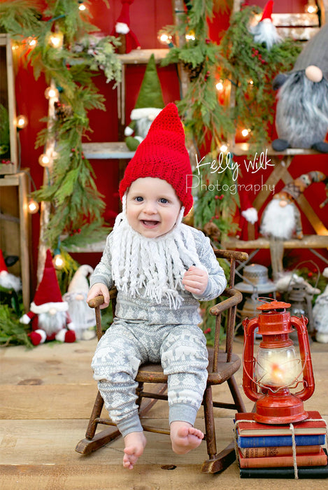 Christmas Gnome Ladder