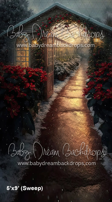 Christmas Greenhouse Path (SM)