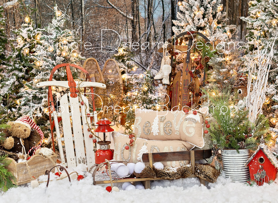 Christmas Holiday Lights