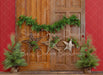 Christmas Stary Tree Doors