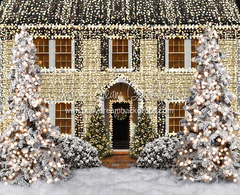 Christmas Vacation Home