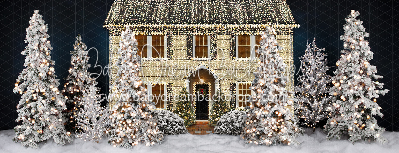 Christmas Vacation Home