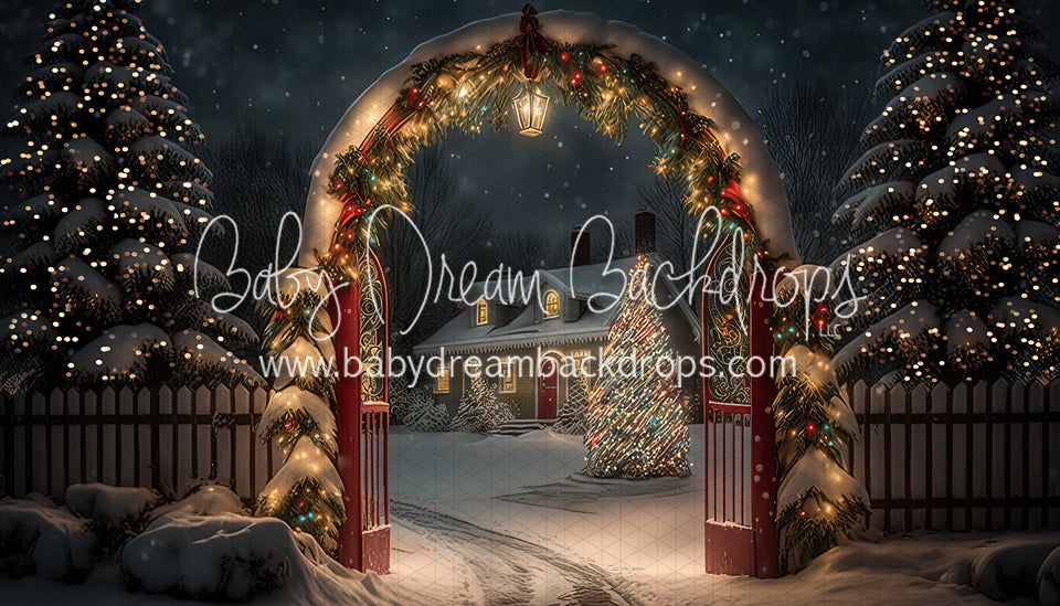 Christmas Winter Enchantment Lights (BD)