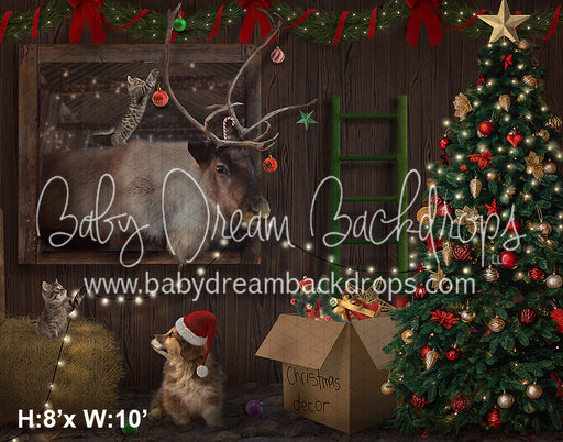 Christmas at the barn