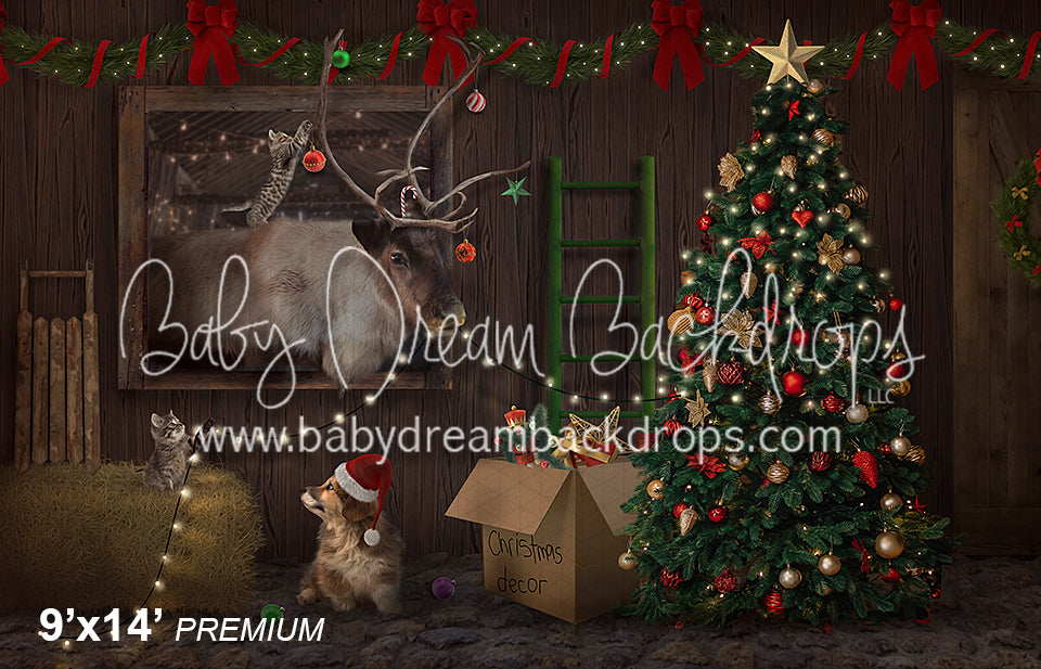 Christmas at the barn