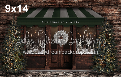 Christmas in a Globe