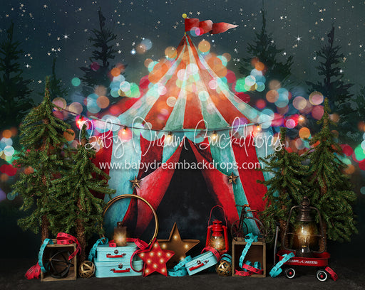 Circus Under the Stars