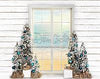 Coastal Christmas Window