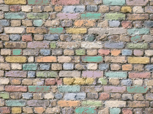 Color Up Bricks (1) - 60Hx80W - CC  