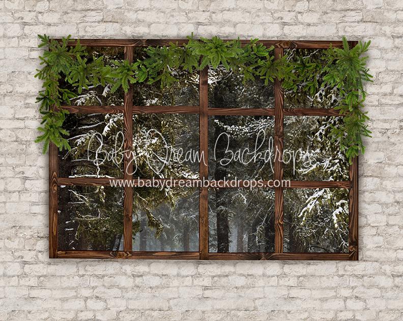 Colorado Picture Window