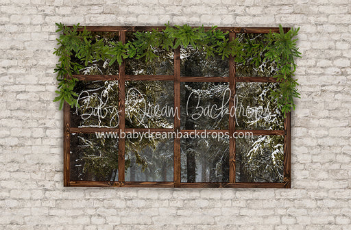 Colorado Picture Window