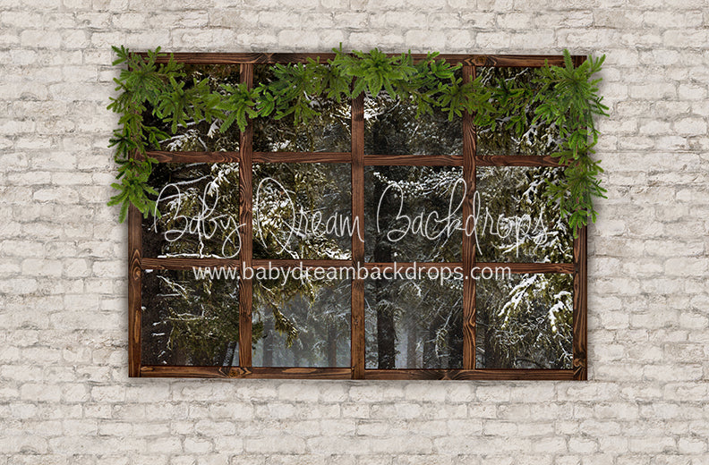 Colorado Picture Window