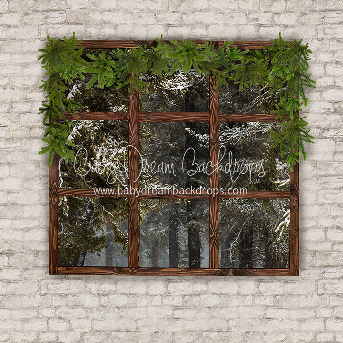 Colorado Picture Window