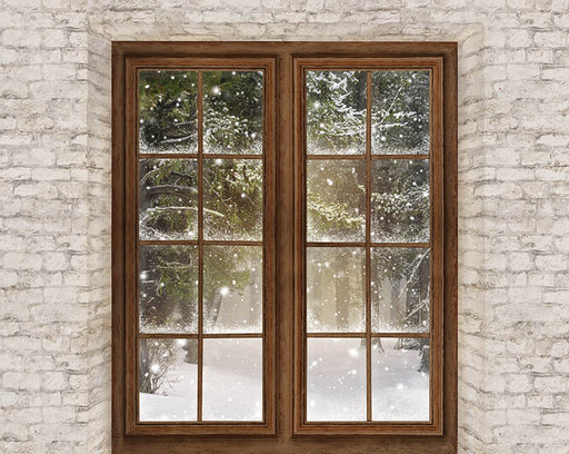 Colorado View Backdrop - CC