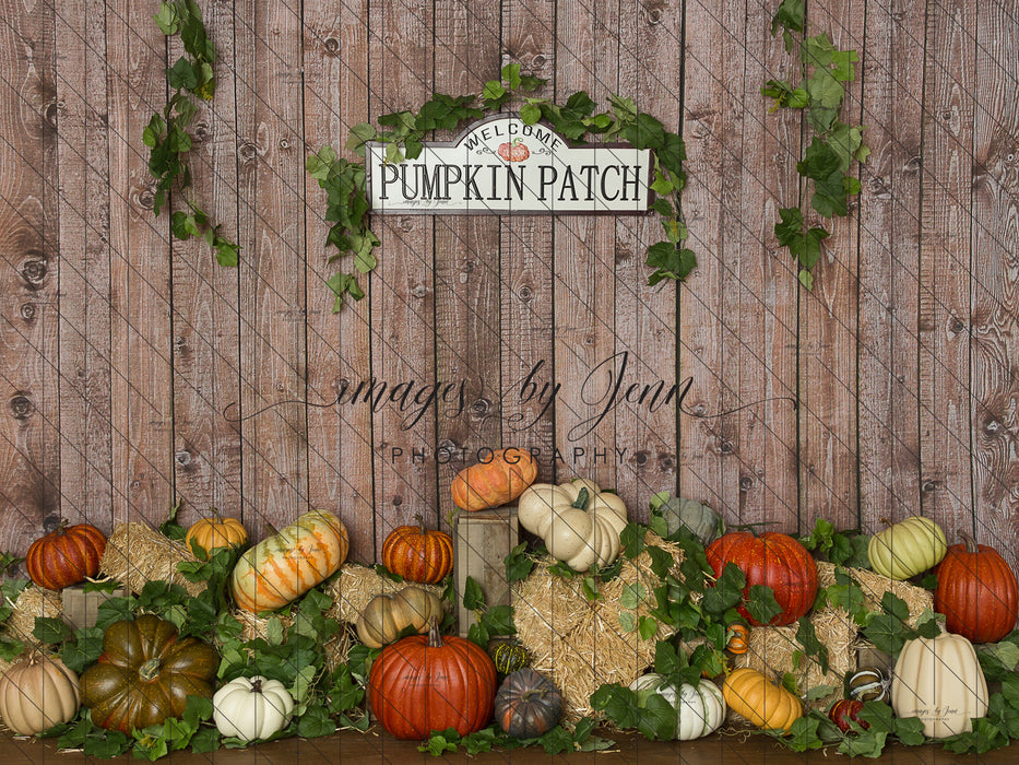 Colorful Pumpkin Patch