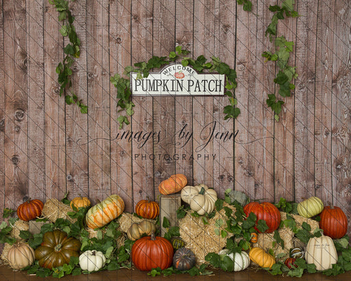 Colorful Pumpkin Patch