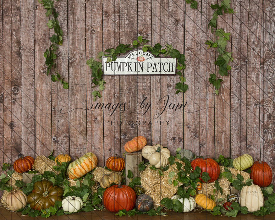 Colorful Pumpkin Patch