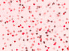 Confetti Love Pink - 60Hx80W - CC  
