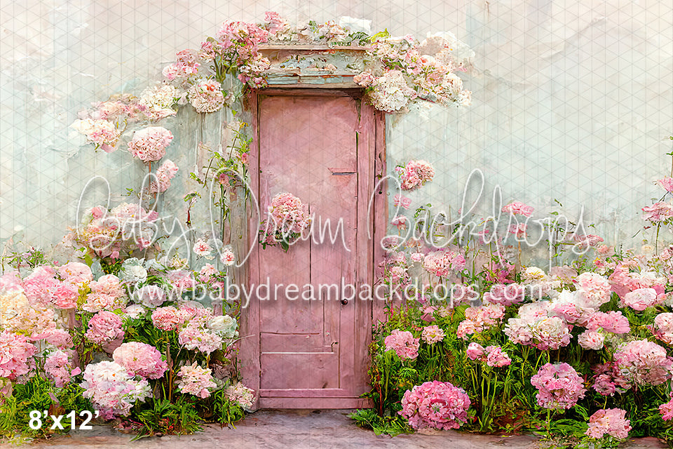 Cotton Candy Peonies (BD)