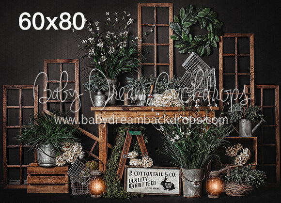 Cottontail and Co (Dark)