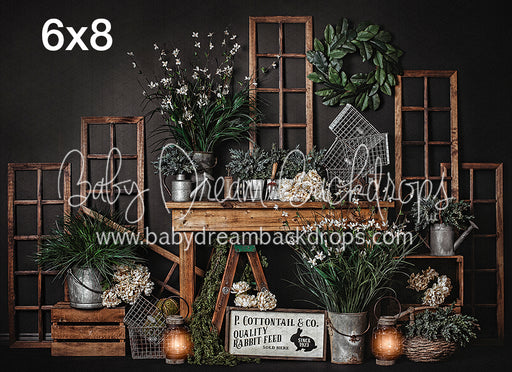 Cottontail and Co (Dark)