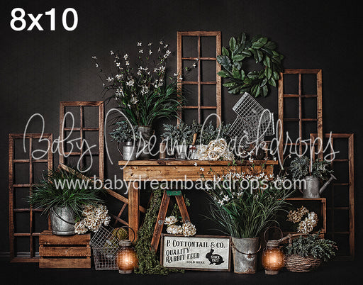 Cottontail and Co (Dark)