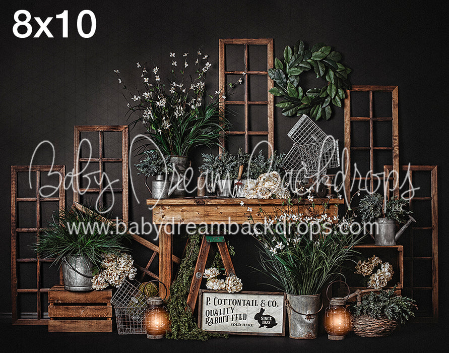 Cottontail and Co (Dark)