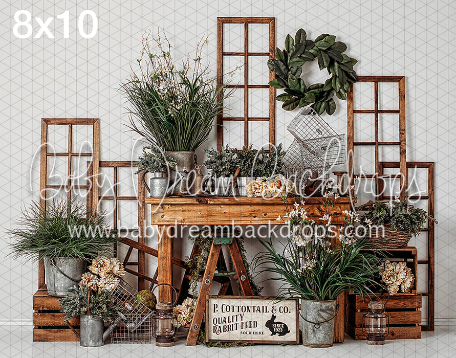 Cottontail and Co (White)