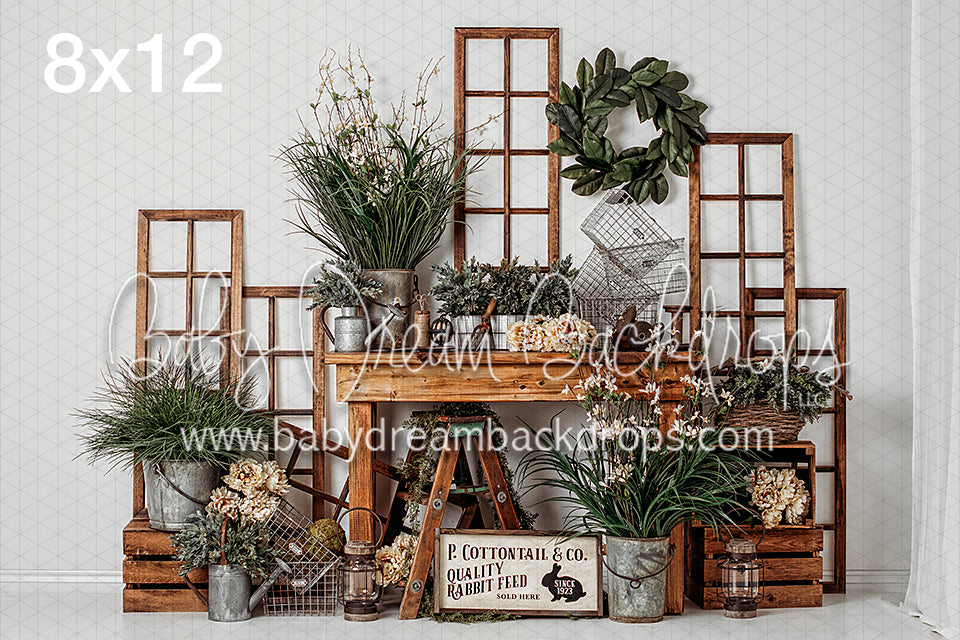 Cottontail and Co (White) (VR)