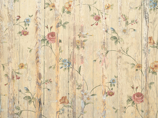 Country Cupboard 1 - 60Hx80W - CC  