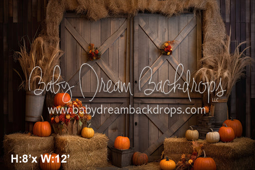 Country Barn Door Fall 4 (SM)