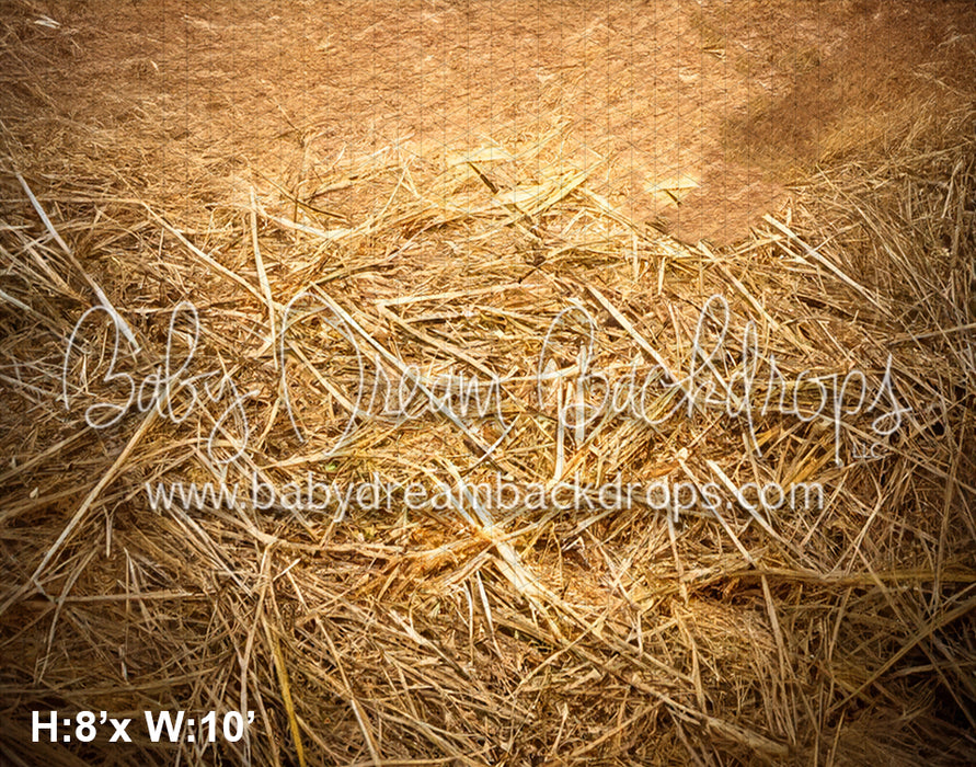 Country Barn Door Fall 5 Fabric Floor (SM)