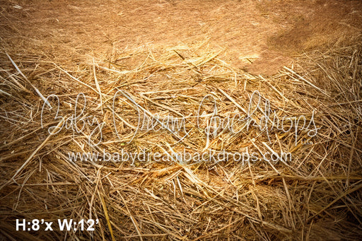 Country Barn Door Fall 5 Fabric Floor (SM)