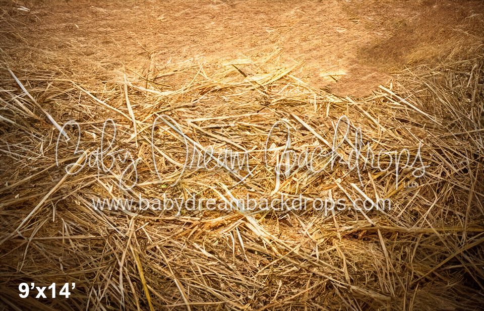 Country Barn Door Fall 5 Fabric Floor (SM)