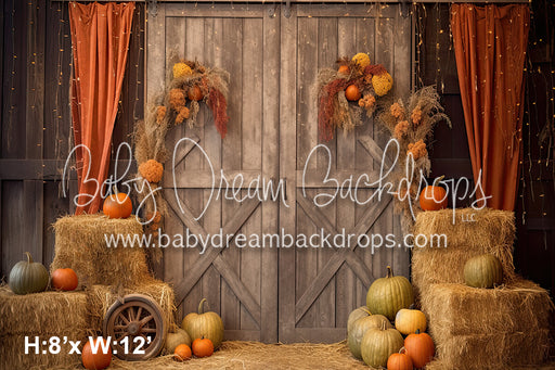 Country Barn Door Fall 5 (SM)