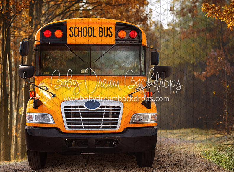 Coutnry Bus Stop (JA)