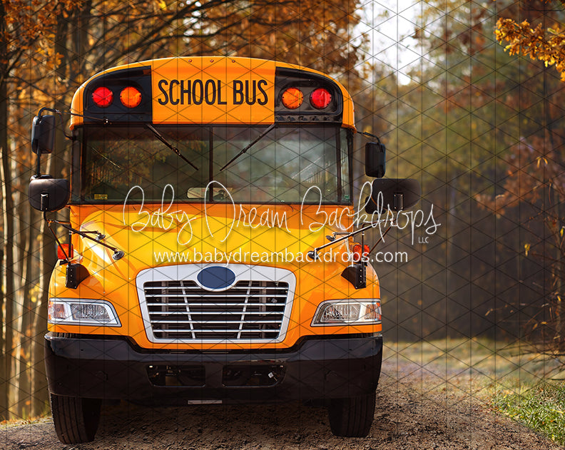 Coutnry Bus Stop (JA)