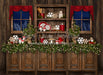Country Christmas Kitchen Lights