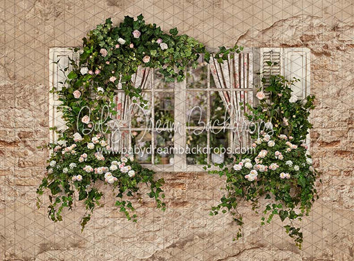 Country Cottage View (JA)