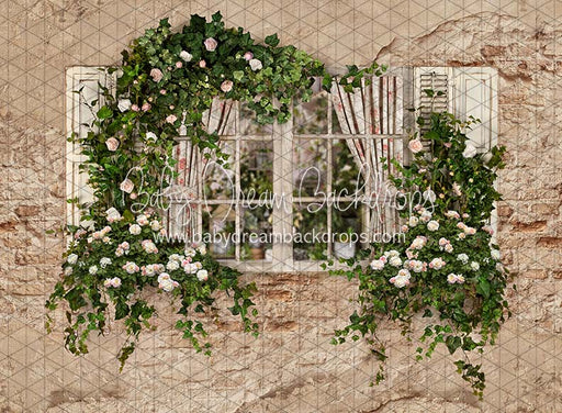 Country Cottage View (JA)