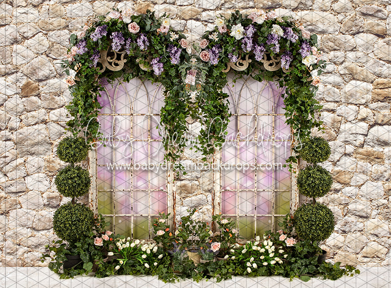 Country Cottage Windows (JA) — Baby Dream Backdrops