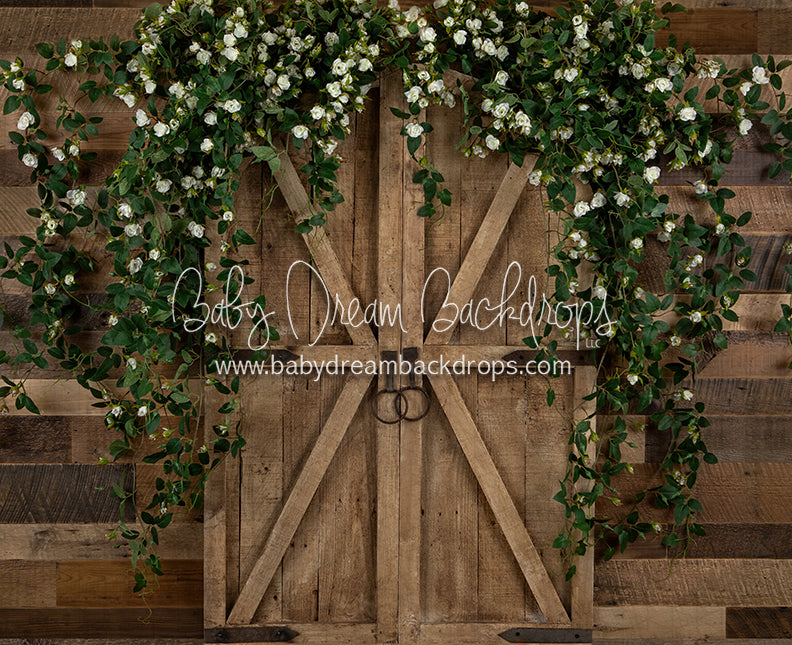 Country Dreamer Doorway