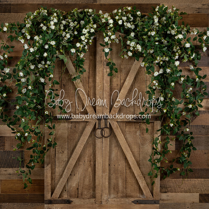 Country Dreamer Doorway