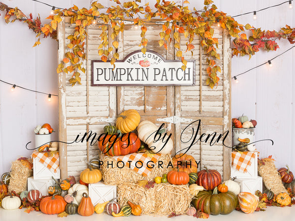 Country Pumpkin Patch