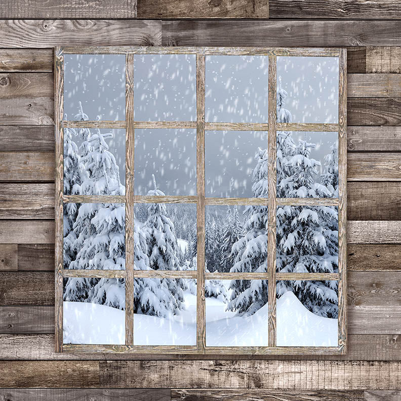 X Drop country christmas winter window — Baby Dream Backdrops