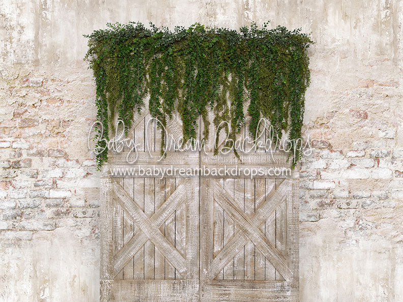 Country Gala - 6x8 - JA (Premium)